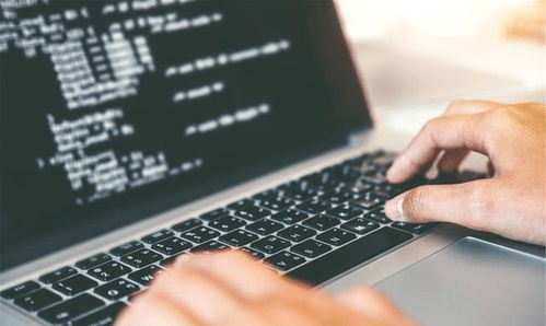 重點大學計算機專業學生，考研還是就業？